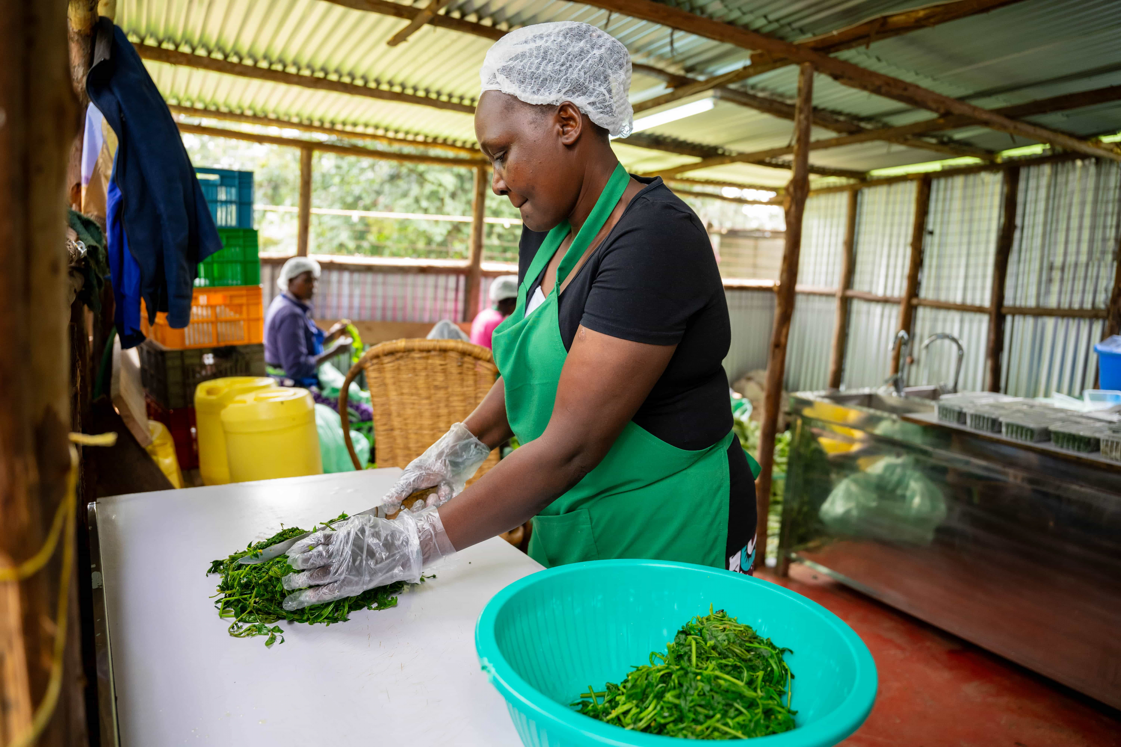 Fresh vegetables