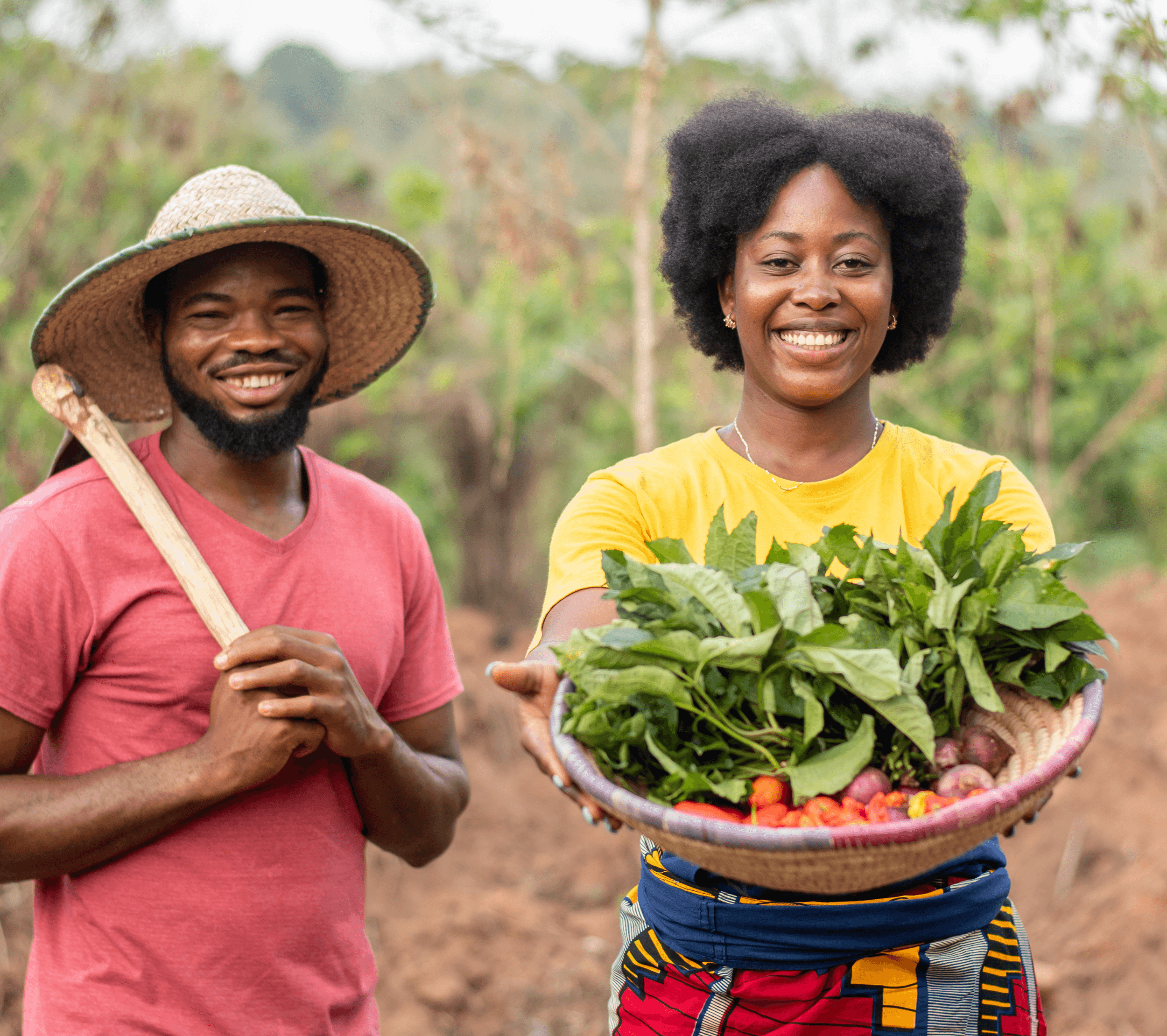 Woman holding fresh lettuce
