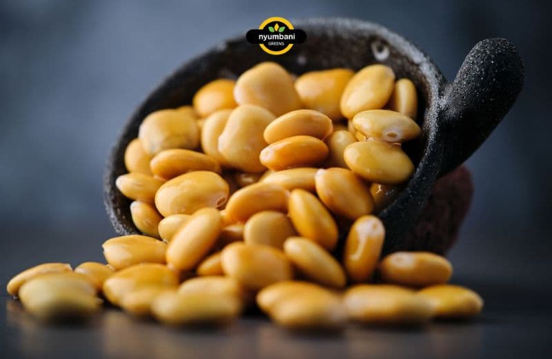 Types of Yellow Beans: Varieties, Uses, and Nutrition Explained