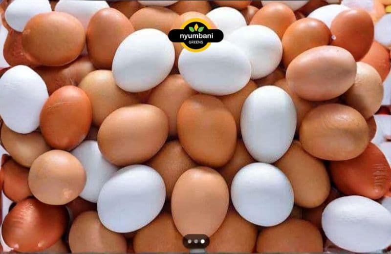 Kienyeji Eggs Benefits: Nutrition, Taste and Who Gains Most
